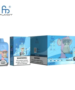 RandM Digital Box 12000 Puffs Hot Seller LED Display Disposable Vape in Randm Digital Box 12000 flavor