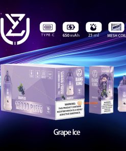 UZY Bang King 12000 12K Puffs 0% 2% 3% 5% Nicotine Edition Disposable in Grape Ice flavor