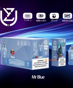 UZY Bang King 12000 12K Puffs 0% 2% 3% 5% Nicotine Edition Disposable in MR Blue flavor