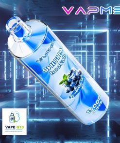 VAPME Shisha 15K product image 3